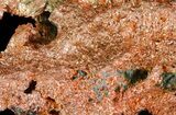 Natural, Native Copper Formation - Michigan #65256-3